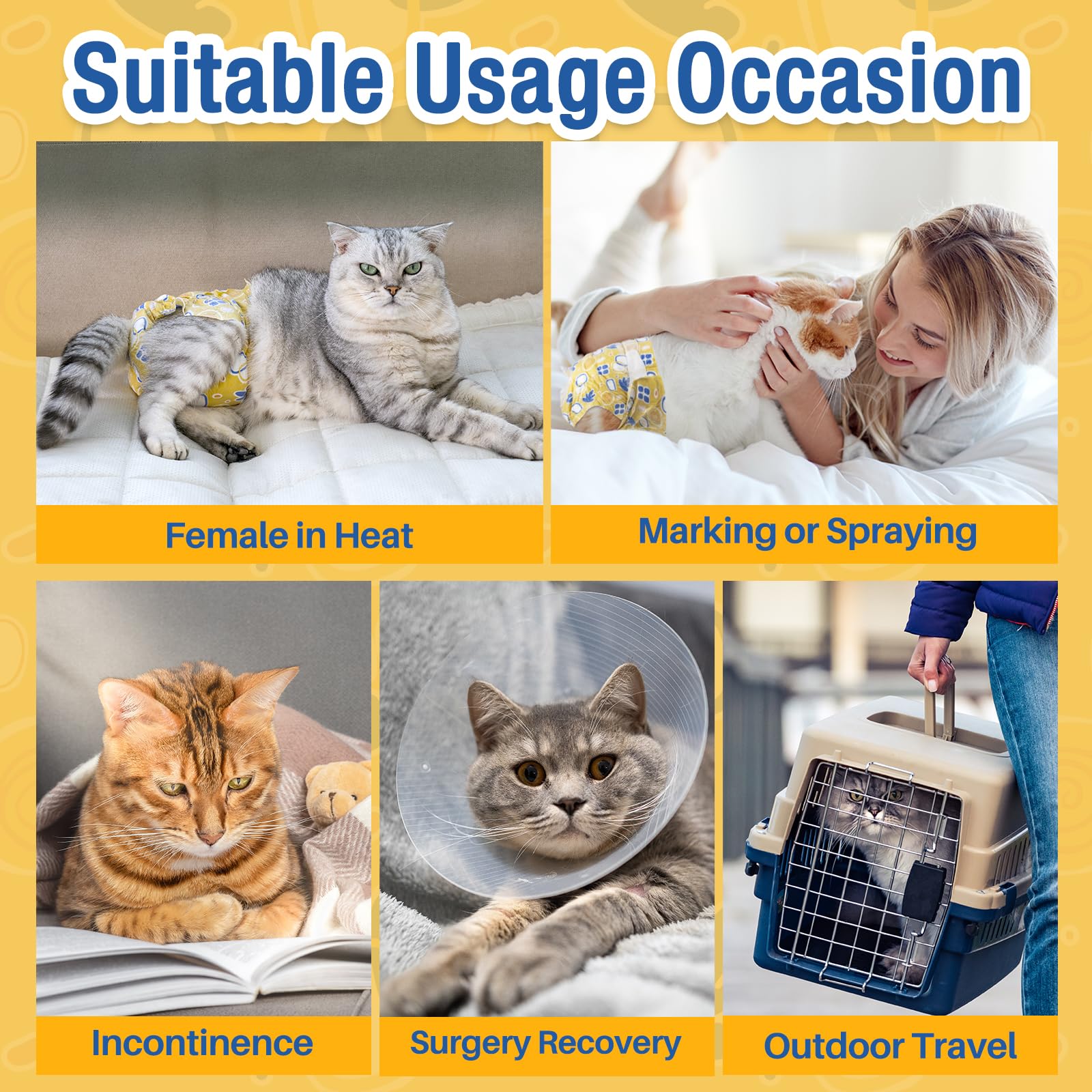Pet Soft small-size fit shown on petite cat for secure waist