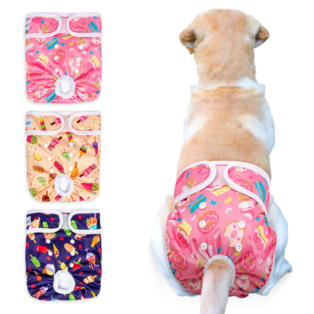 Pet Soft diaper worn by a calm dog for protection