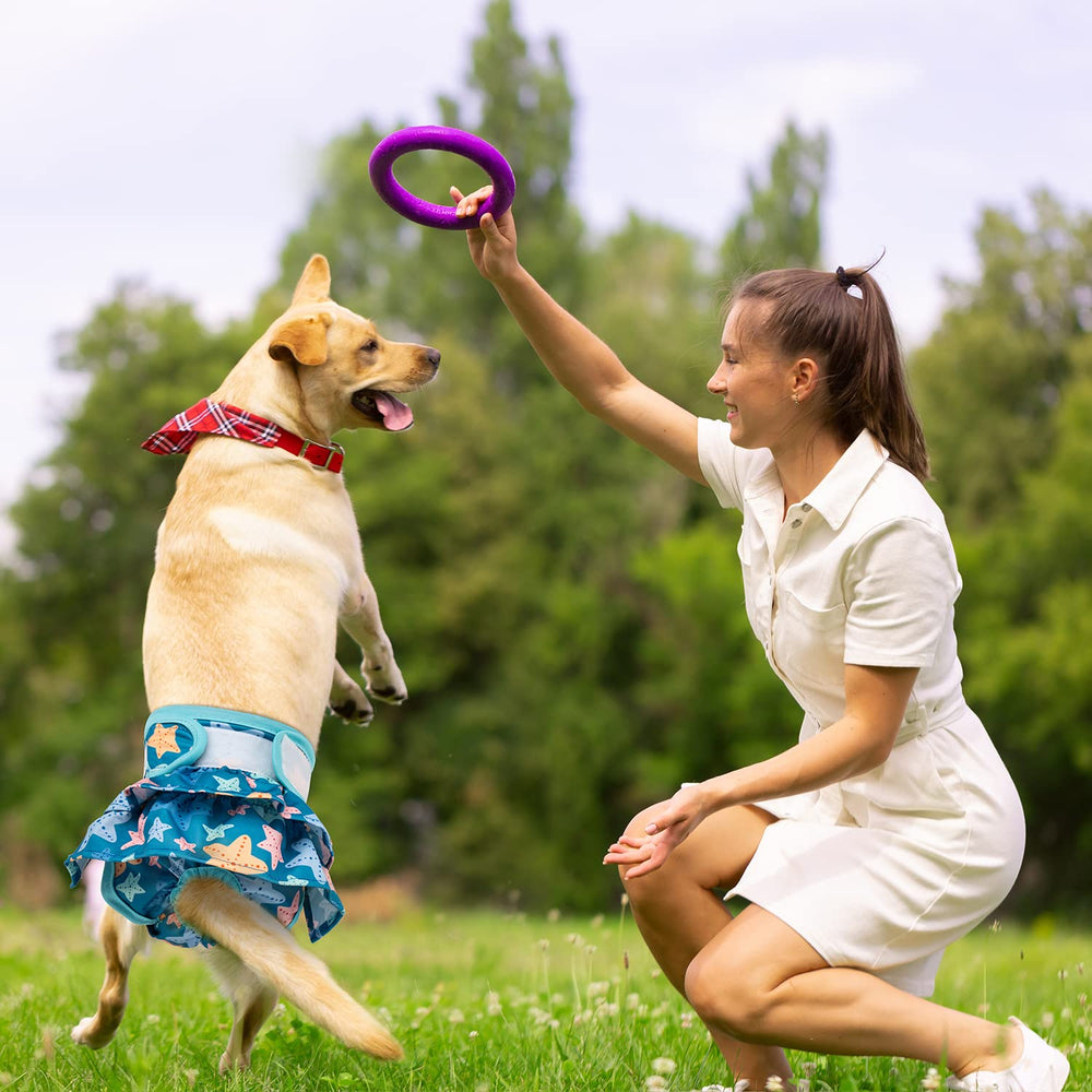 Pet Soft size chart graphic showing XS to XL waist ranges