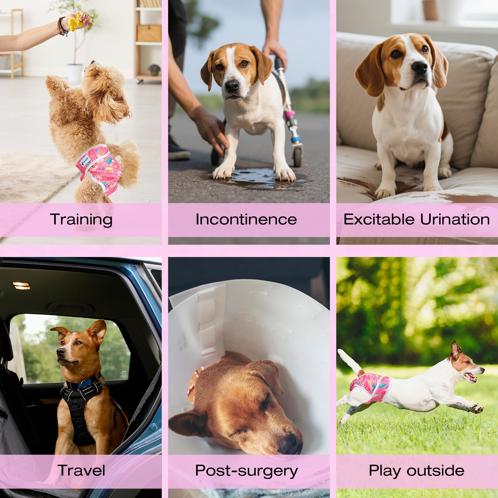 Pet Soft three-pattern pack offers variety for different needs