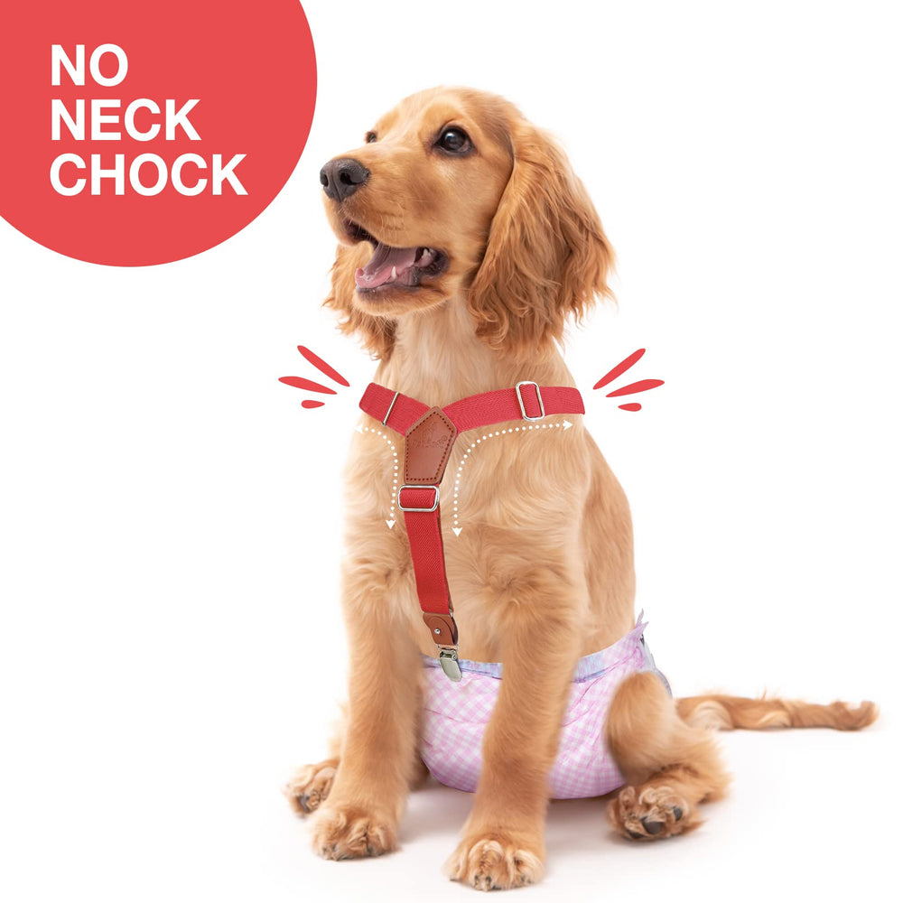 Pet Soft dog suspenders close-up adjustable buckles demonstrating secure fit