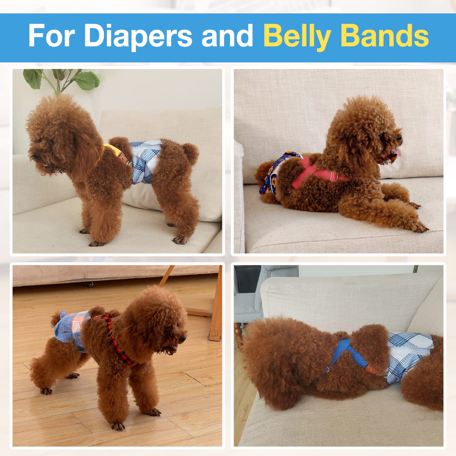 Pet Soft dog suspenders dress/skirt setup on a small dog for stylish use