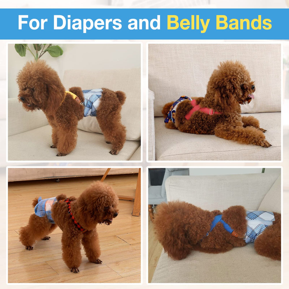 Pet Soft dog suspenders dress/skirt setup on a small dog for stylish use