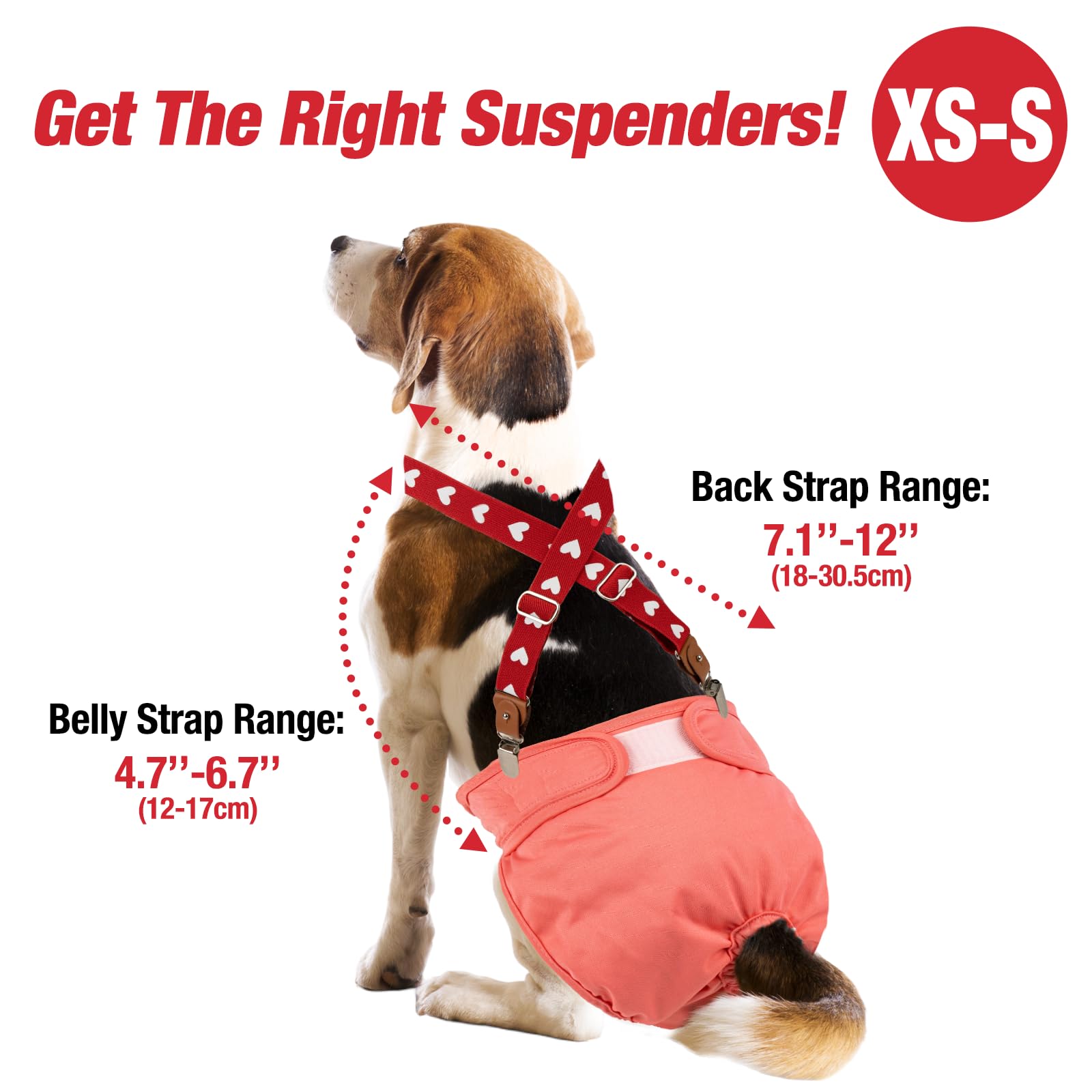 Pet Soft dog suspenders stretchy webbing close-up for skin-friendly grip