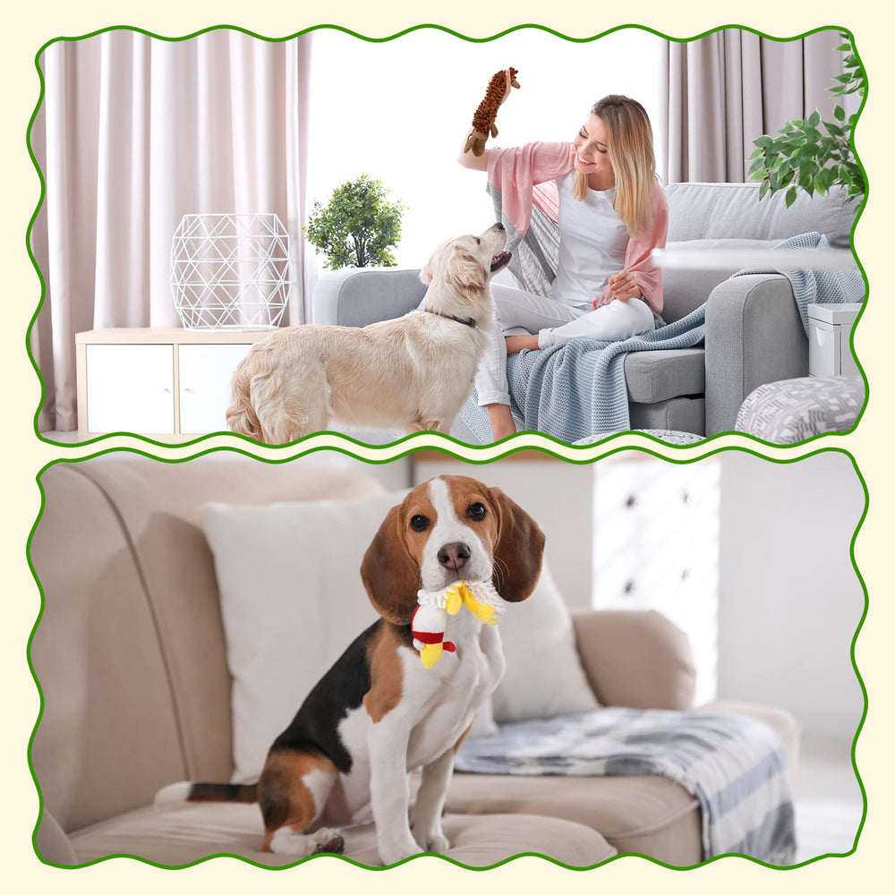Pet Soft six-pack saves space and keeps dogs entertained across sizes.