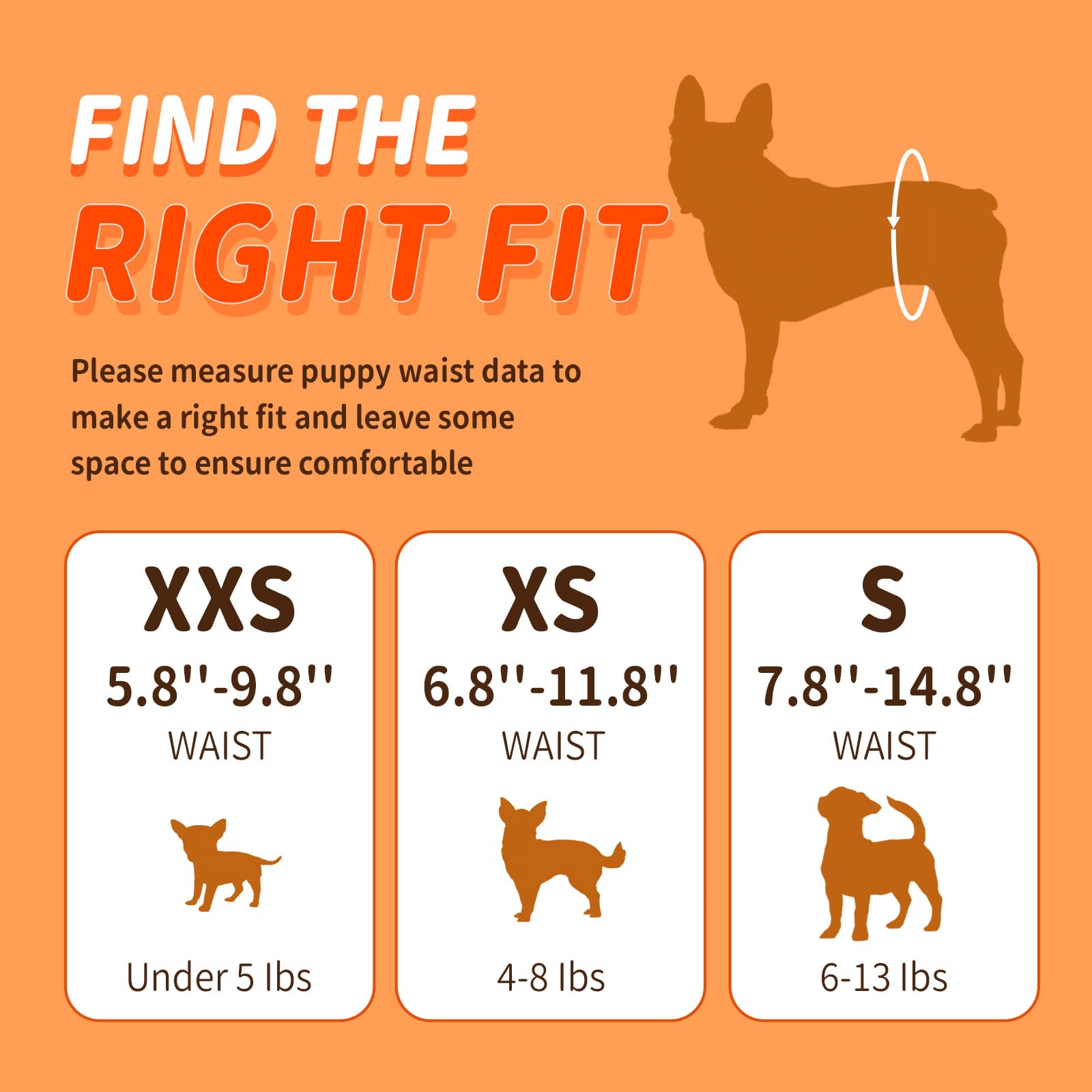 Pet Soft fashion-patterned diaper emphasizes cute style while containing accidents