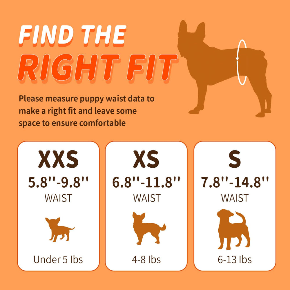 Pet Soft fashion-patterned diaper emphasizes cute style while containing accidents