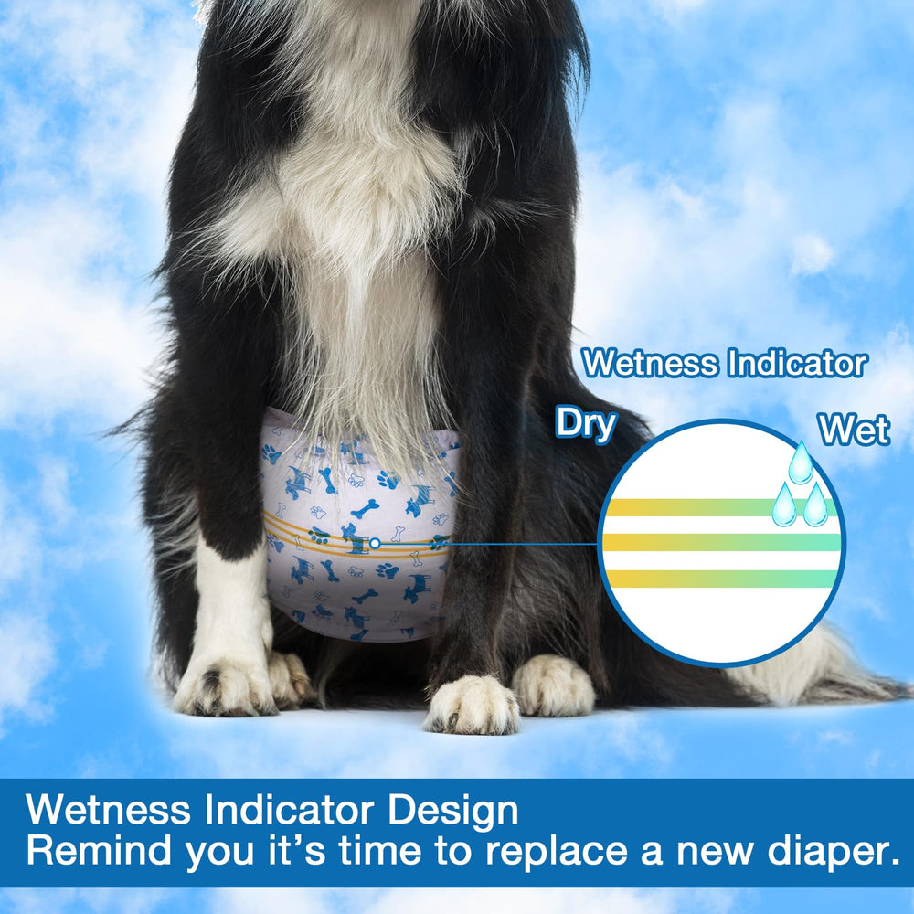 Pet Soft diapers blue pattern visible while providing leak protection