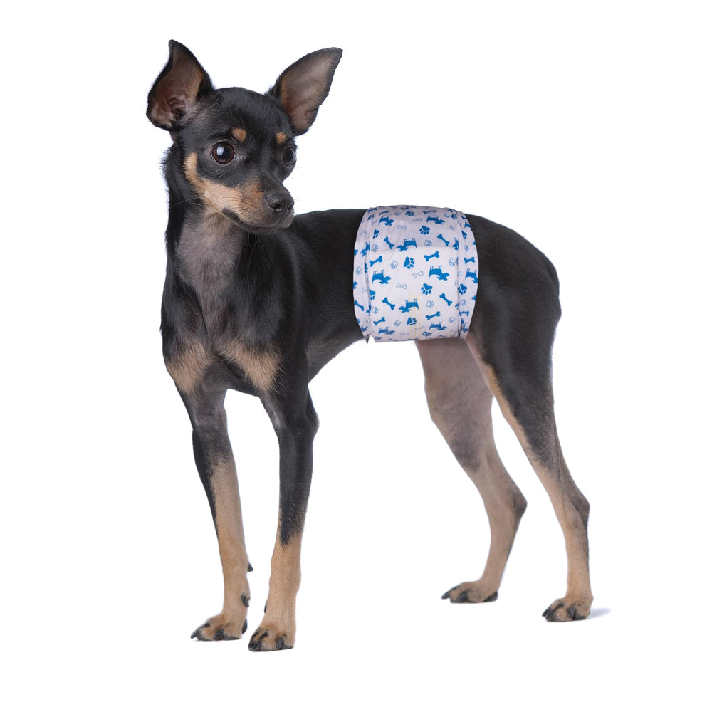 Pet Soft product box presentation signals convenient storage and purchase