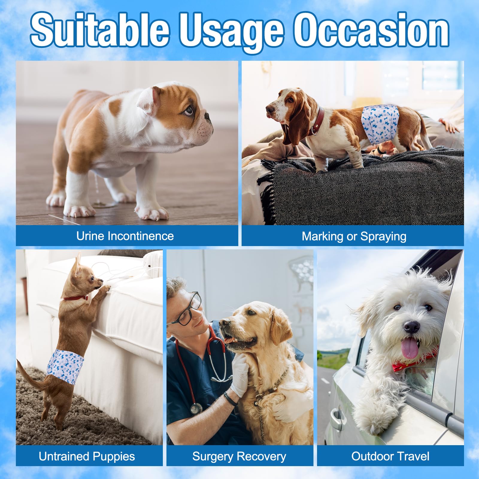 Pet Soft small-size diaper showing measurement guide for proper fit