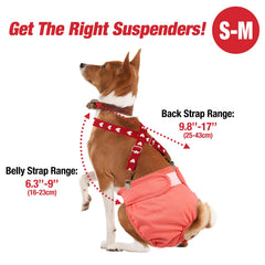 Pet Soft dog suspenders showing soft stretchy webbing against skin