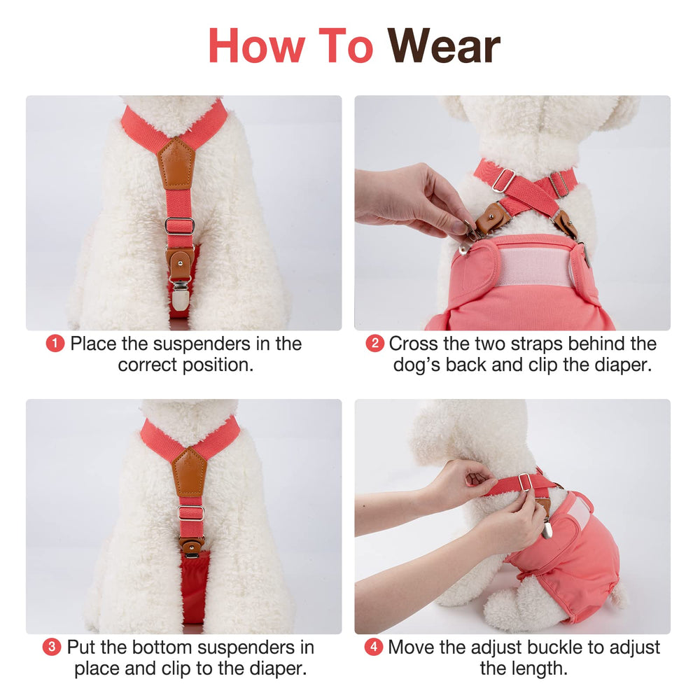 Pet Soft dog suspenders on a dog wearing diaper to prevent slips during outings