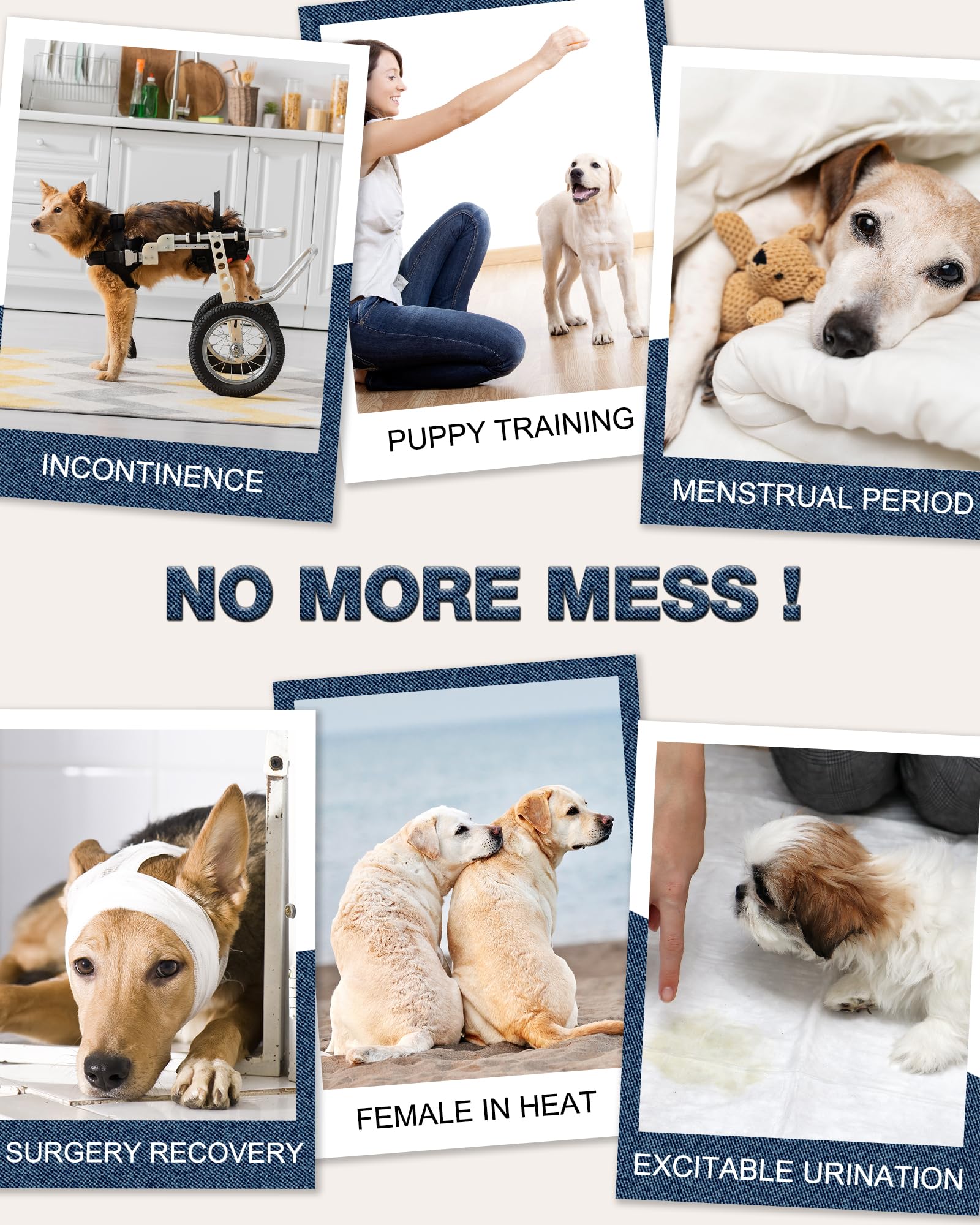 Pet Soft dog diapers ideal for travel or daily use, mess avoidance.