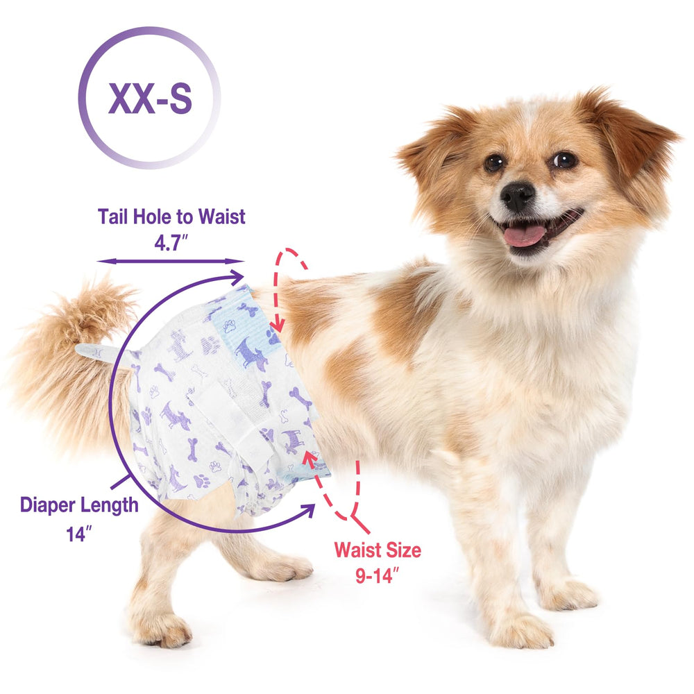 Pet Soft XXS diaper fit guide helps pick the right size
