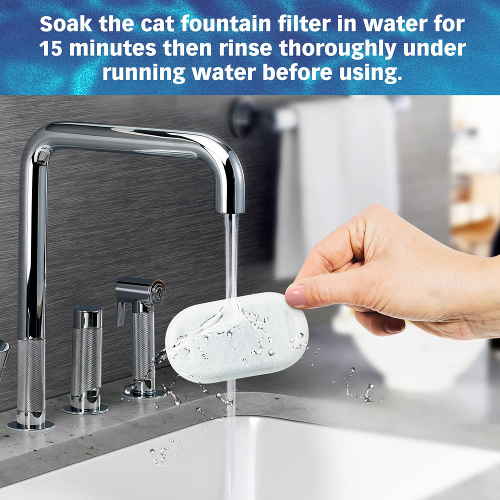 PET STANDARD fountain setup use demonstrates easy installation with compatible PLWF003.