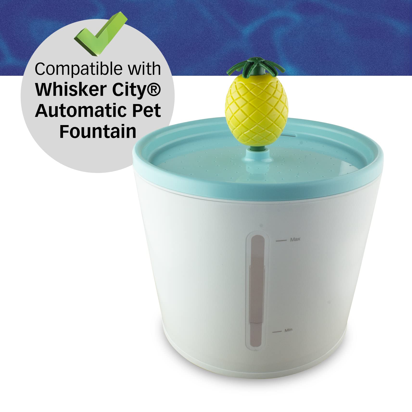 PET STANDARD replacement filter being soaked and rinsed before use promotes fresh-tasting water.