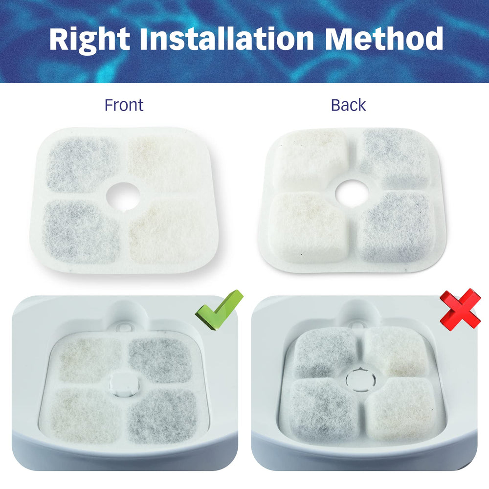 PET STANDARD soaking and rinsing prep prevents carbon dust before use.