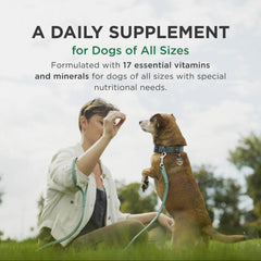 Pet-Tabs 500-count bottle ideal for multi-dog households to simplify daily supplements.