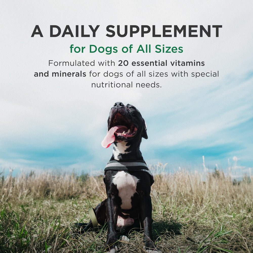 Pet-Tabs Plus liver-flavor chew is a tasty daily canine supplement.