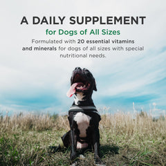 Pet-Tabs Plus liver-flavor chew is a tasty daily canine supplement.