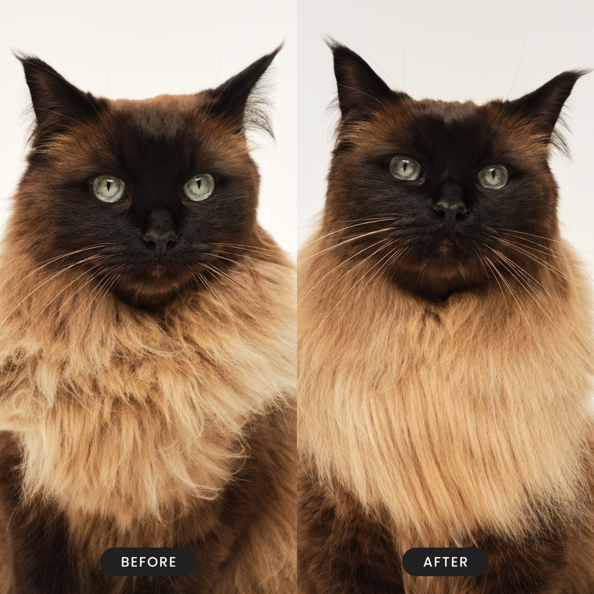 Pet Teezer Cat Brush easy-clean design for quick maintenance after brushing.