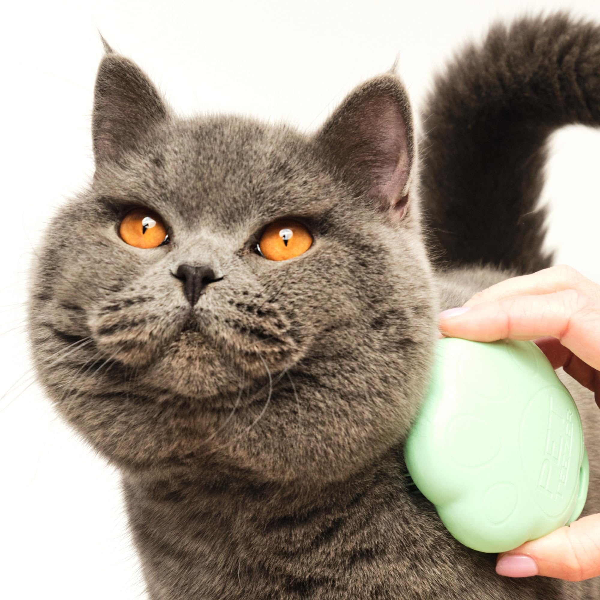 Pet Teezer Cat Brush ideal for short-to-medium fur care during daily grooming.