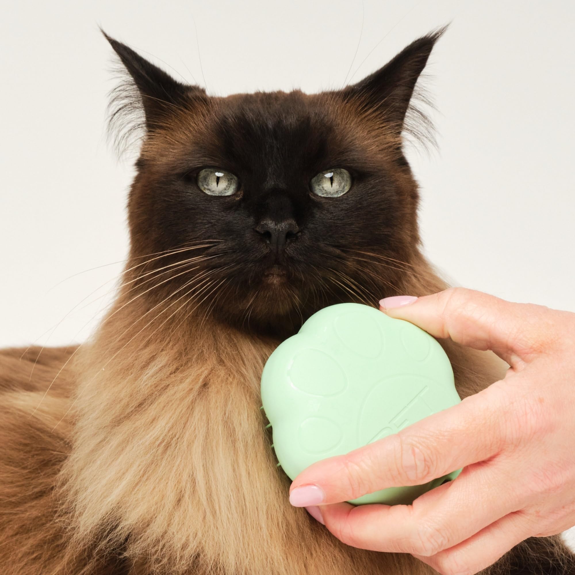 Pet Teezer Cat Brush deshedding action reaching undercoat for less loose hair.