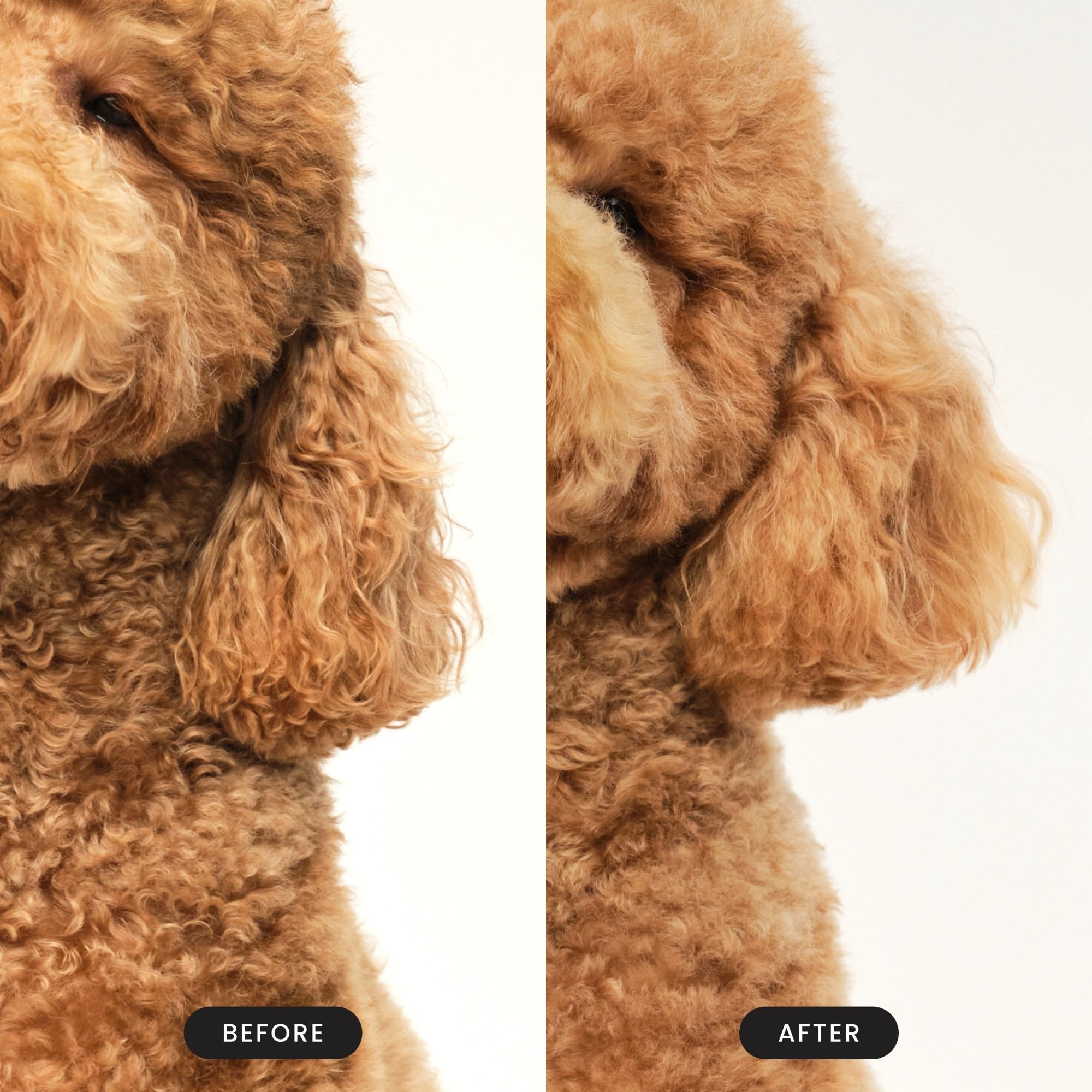 Pet Teezer cepillo para baño de perros, compatible con champú.