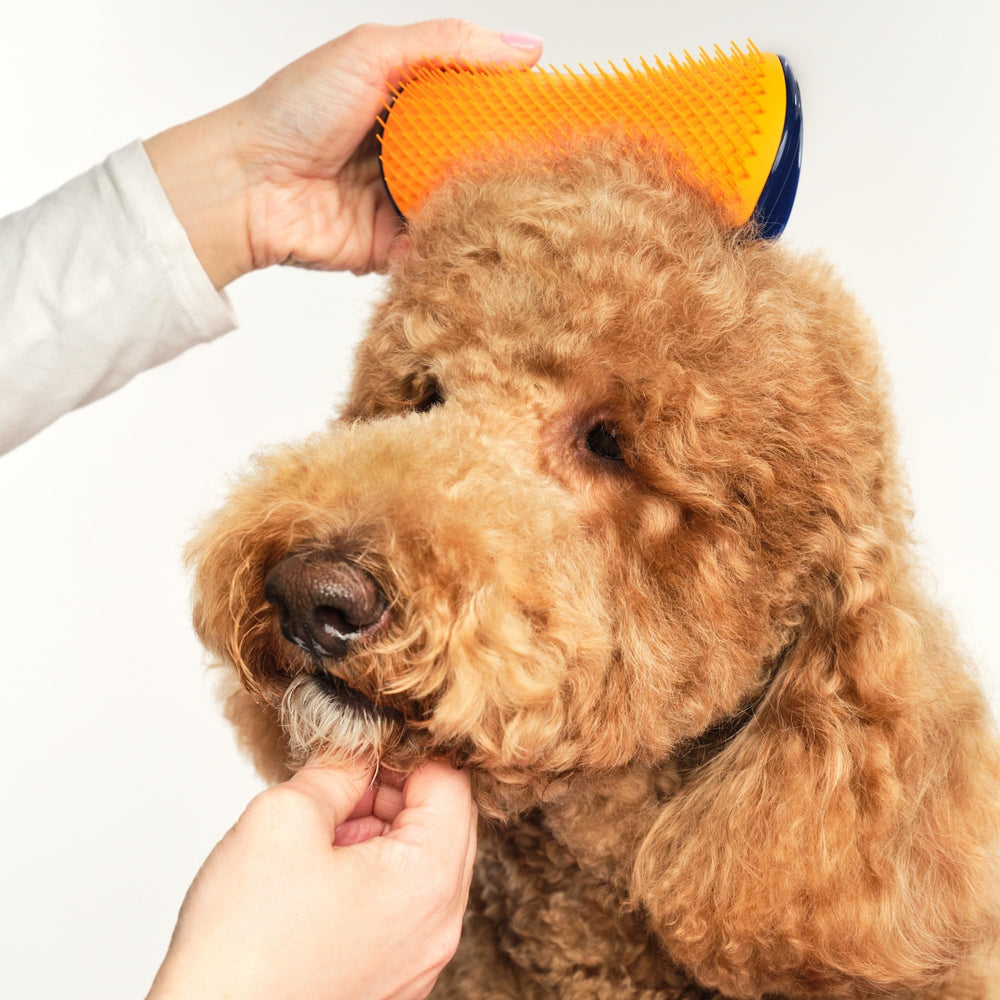Pet Teezer dientes de polímero suaves, cuidan la piel durante el cepillado.