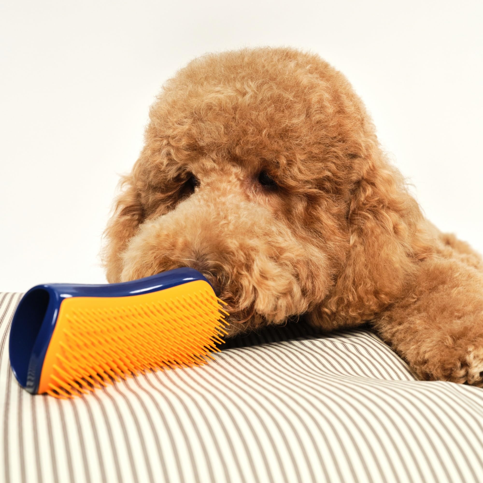 Pet Teezer empaque sostenible, opción responsable durante la transición.