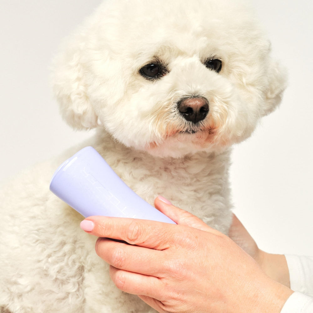 Pet Teezer two-tier teeth reach undercoat while lifting loose hair with shorter teeth.