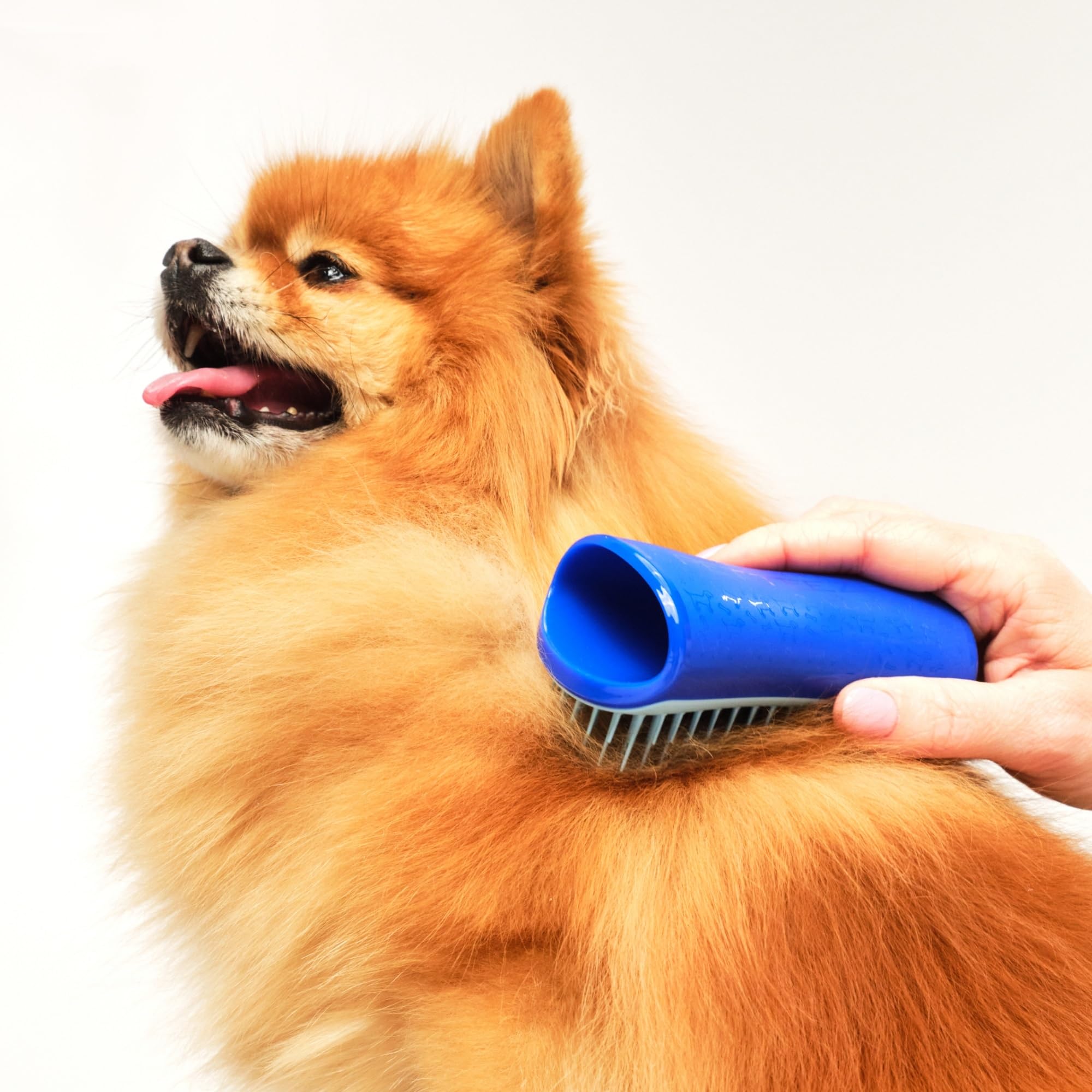 Pet Teezer deshedding dog brush loose hair pickup demonstrates efficient shedding during dry grooming