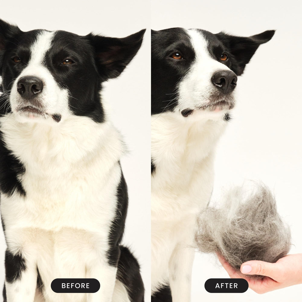 Pet Teezer deshedding dog brush palm ergonomic handle emphasizes comfy long grooming