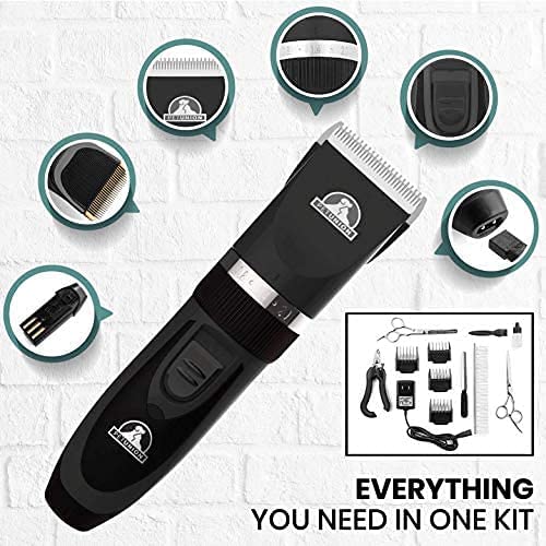 Pet Union nail trimmer used for safe nail trimming during sessions