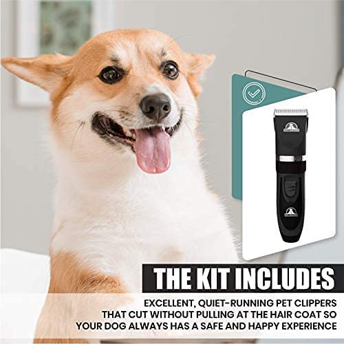 Pet Union rechargeable battery powering cordless grooming sessions