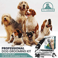 Pet Union scissors for precision thinning and shaping coats