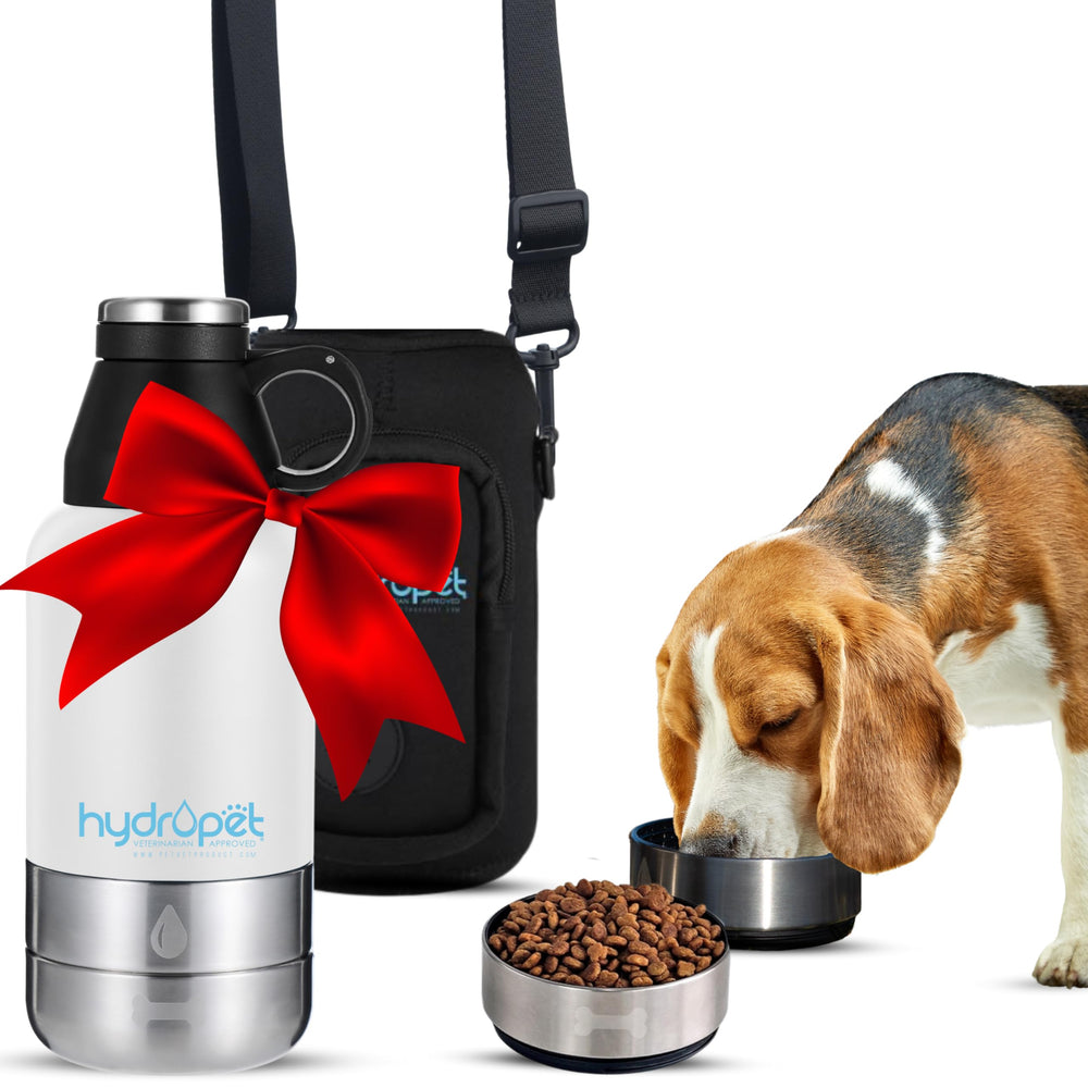 Pet Vet Hydropet bottle side view emphasizes durable stainless steel for daily walks