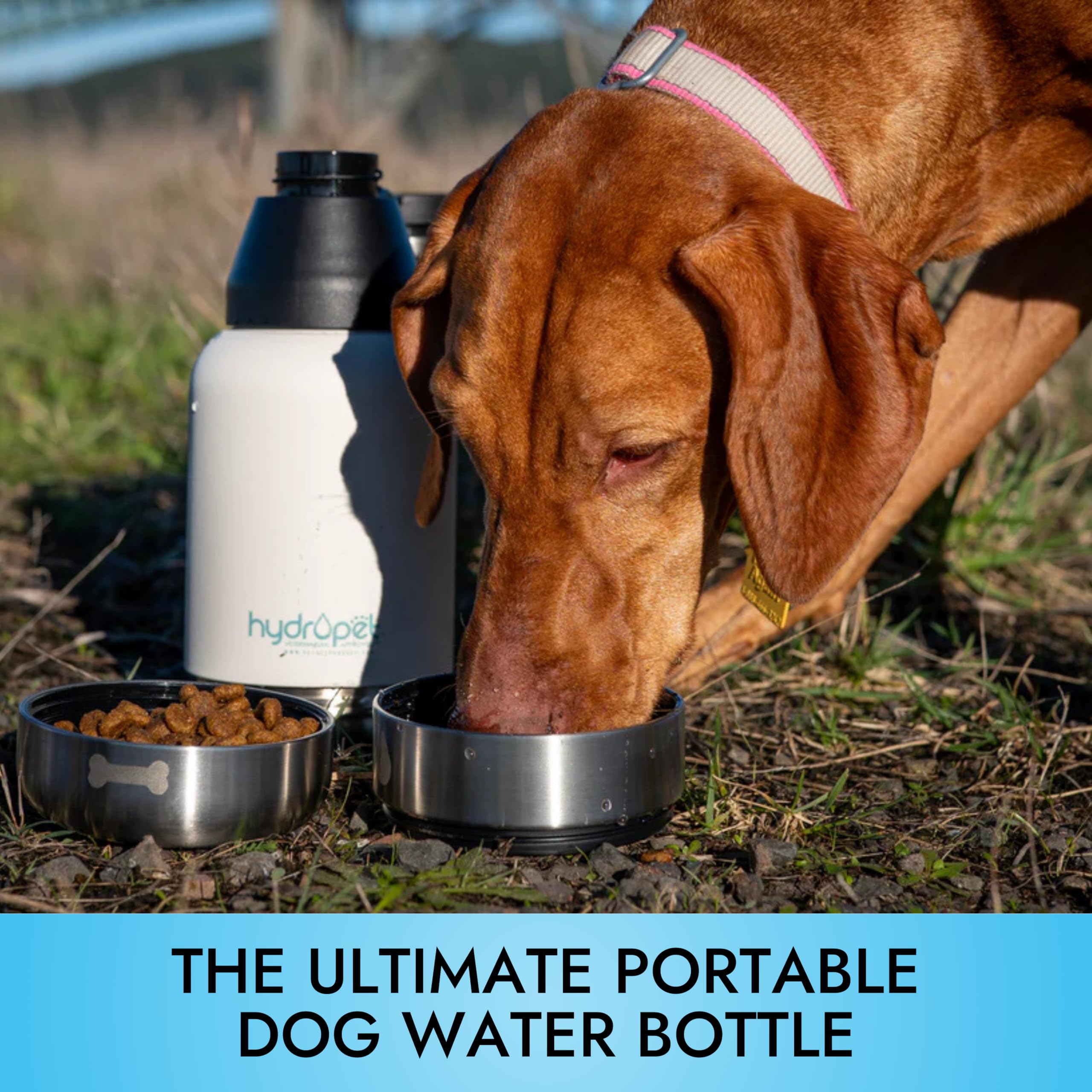 Pet Vet Hydropet detachable bowl setup demonstrates 2-in-1 convenience for dogs