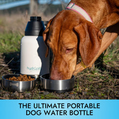 Pet Vet Hydropet detachable bowl setup demonstrates 2-in-1 convenience for dogs