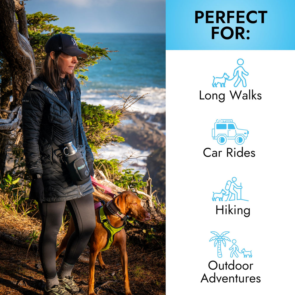 Pet Vet Hydropet insulated stainless steel keeps water cool on hikes