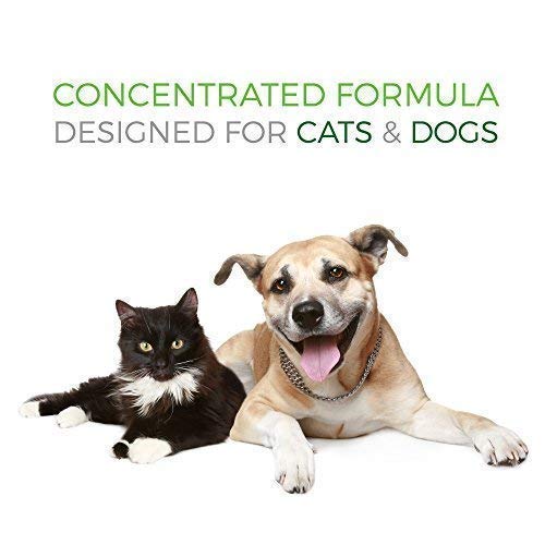 Pet Vitamin Co krill oil soft chews dosing guide for owners.