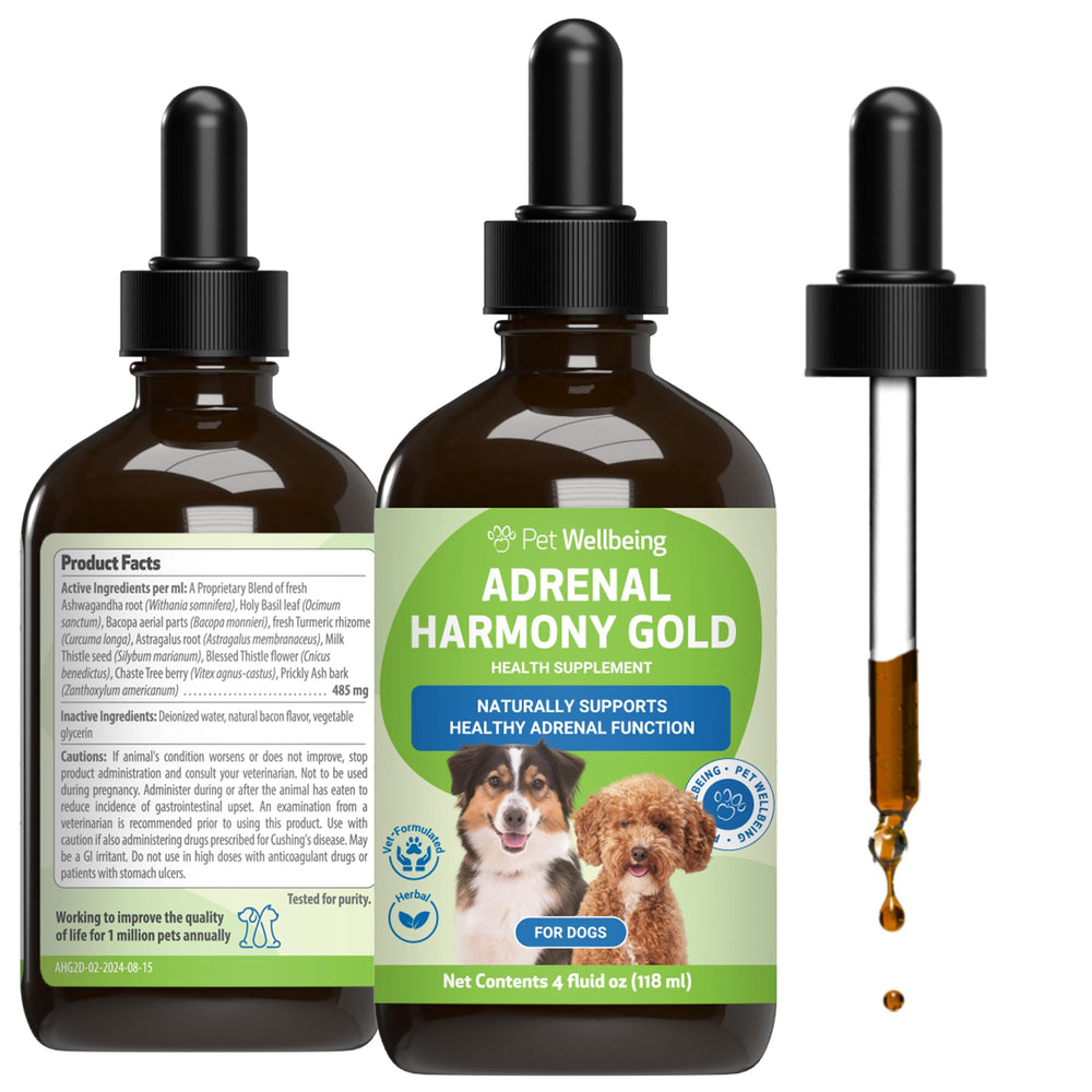 Pet Wellbeing Adrenal Harmony Gold dog bottle pour supports easy daily dosing for canine wellness.