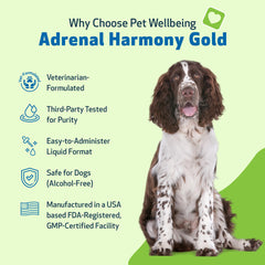Pet Wellbeing Adrenal Harmony Gold dog dosing spoon shows simple administration for consistency.