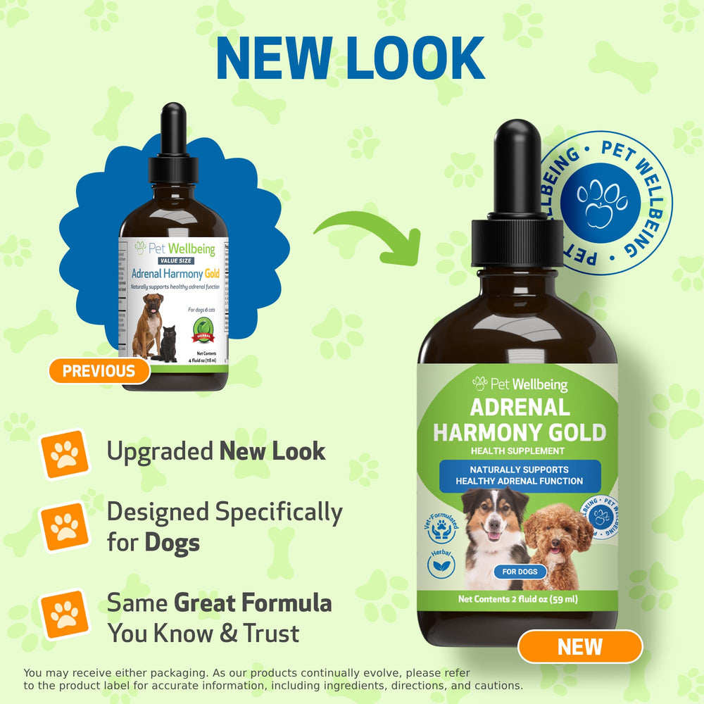 Pet Wellbeing Adrenal Harmony Gold liquid drops highlight fast absorption in dogs.