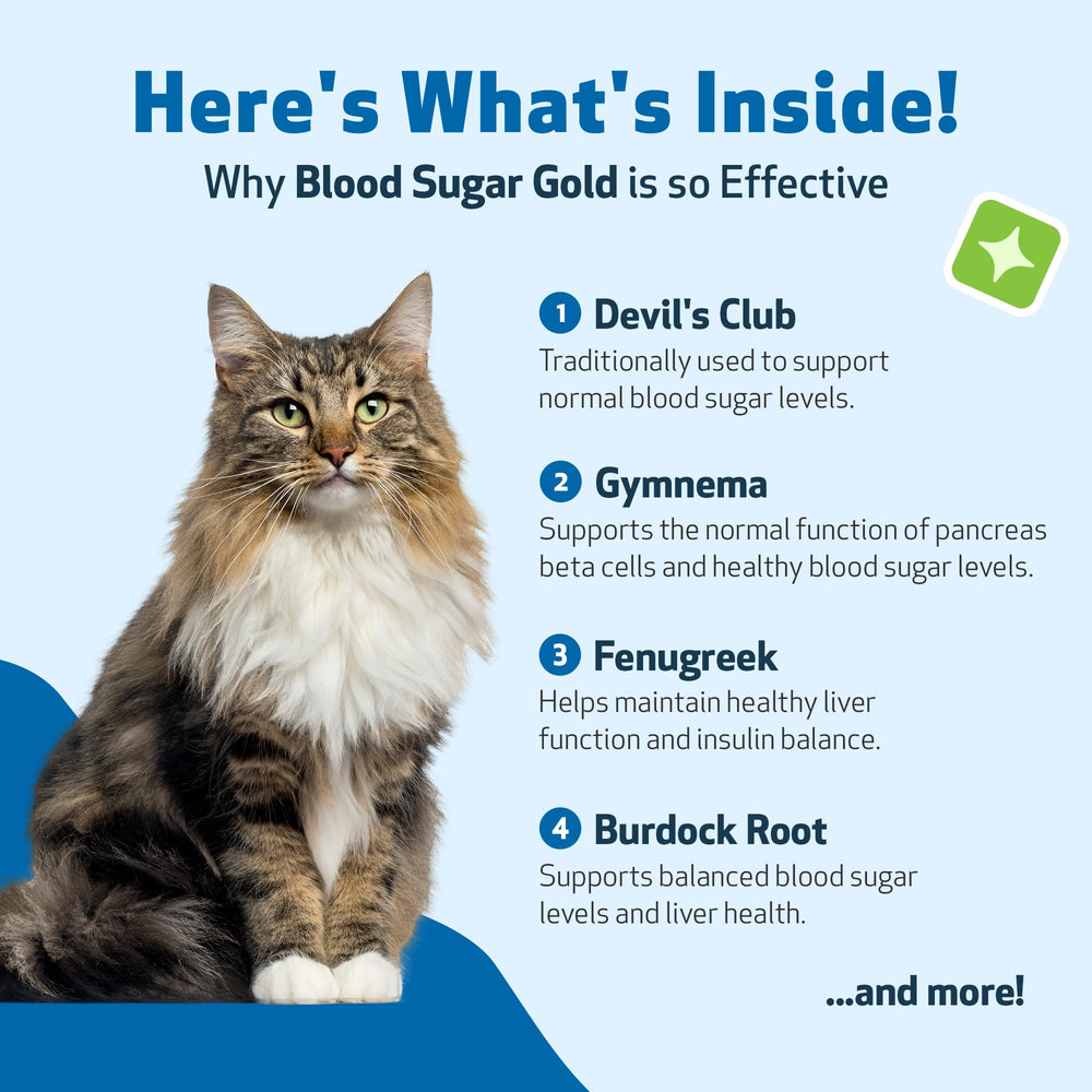 Pet Wellbeing Blood Sugar Gold Cats Devil’s Club ingredient supports overall organ health.