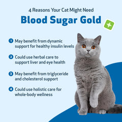 Pet Wellbeing Blood Sugar Gold Cats mealtime mixing supports stable glucose metabolism.