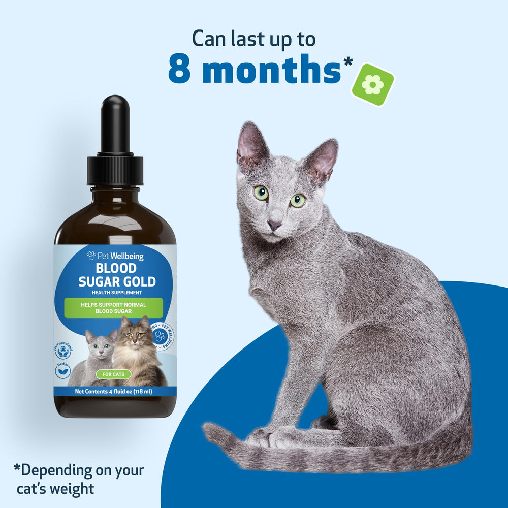 Pet Wellbeing Blood Sugar Gold Cats vet-formulated blend trusted by veterinarians.