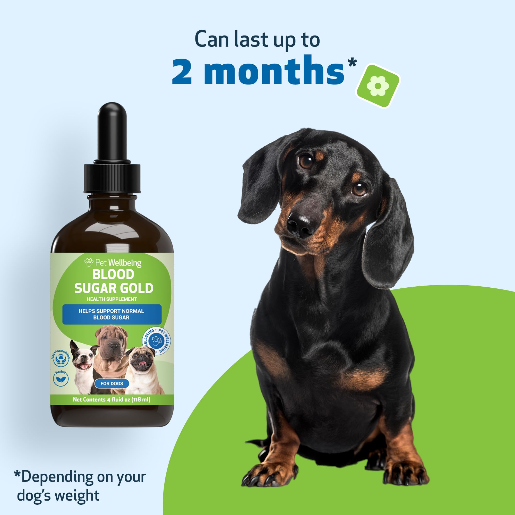 Pet Wellbeing Blood Sugar Gold dogs bottle with label and herbs hint at eye and liver health support.