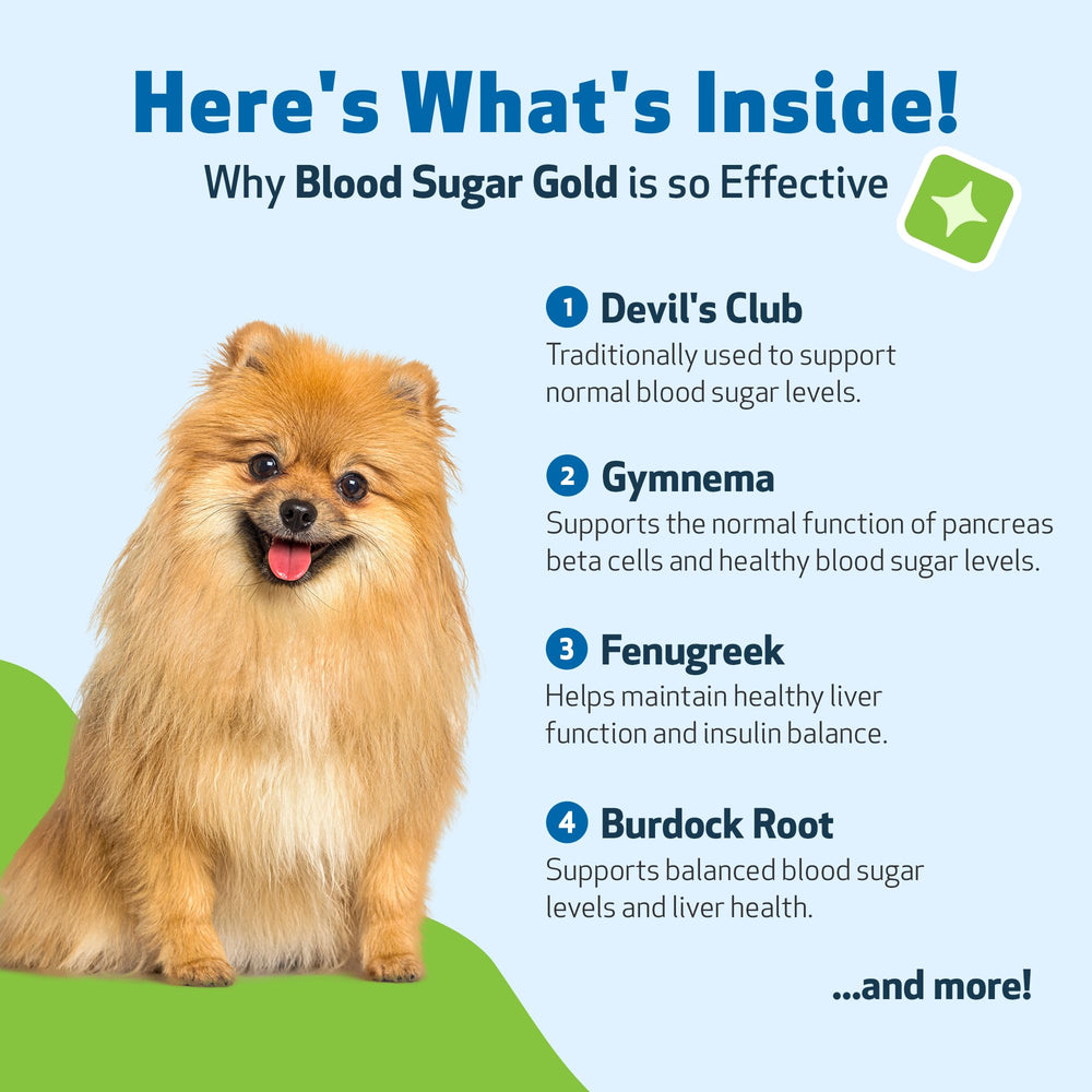 Pet Wellbeing Blood Sugar Gold dogs herbal palette image emphasizes natural ingredient approach.