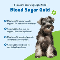Pet Wellbeing Blood Sugar Gold dogs label highlights NASC Certification and vet-formulated approach.